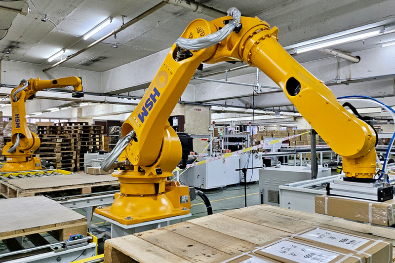 Palletizing Robot - HSM Industrial Support