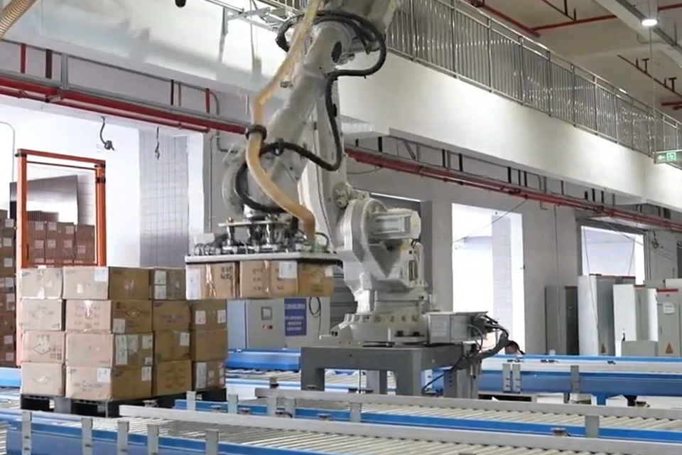 Palletizing Robot - HSM Industrial Support